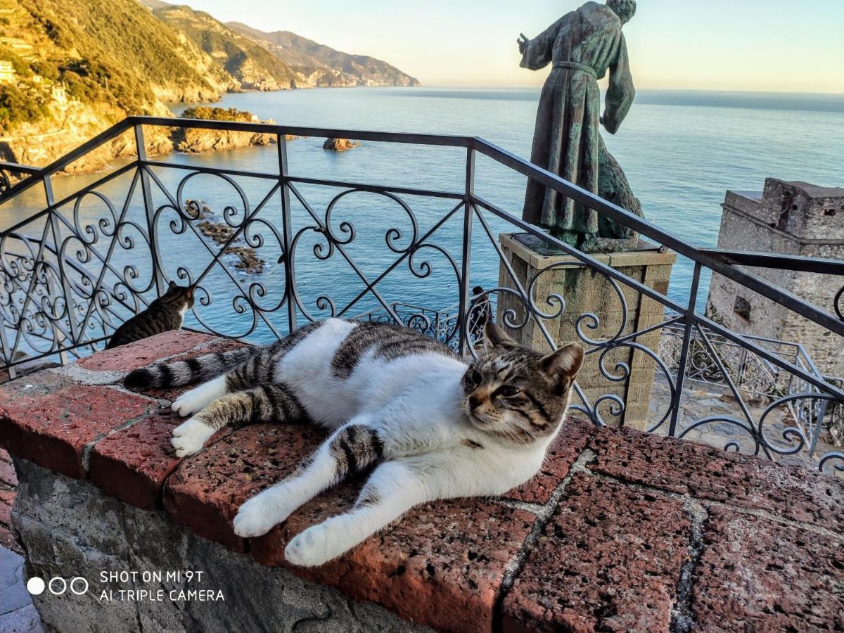 Via Verdi 5, Gli Affreschi Monterosso al Mare Kültér fotó