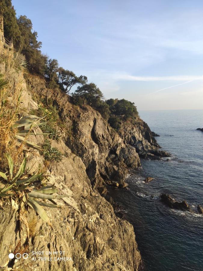 Via Verdi 5, Gli Affreschi Monterosso al Mare Kültér fotó